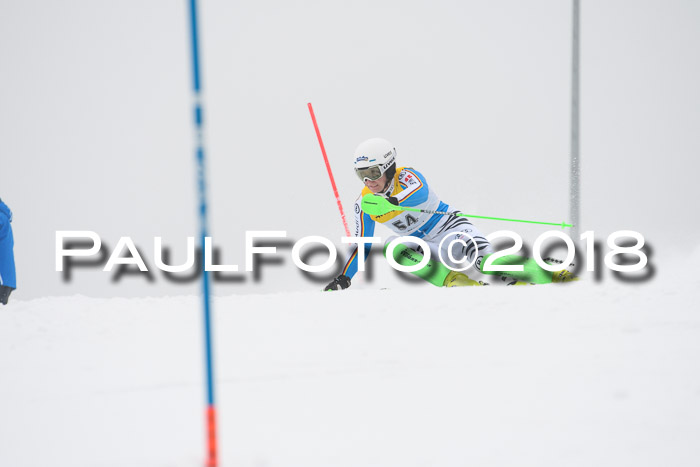 FIS Slalom Damen + Herren 23.02.2018