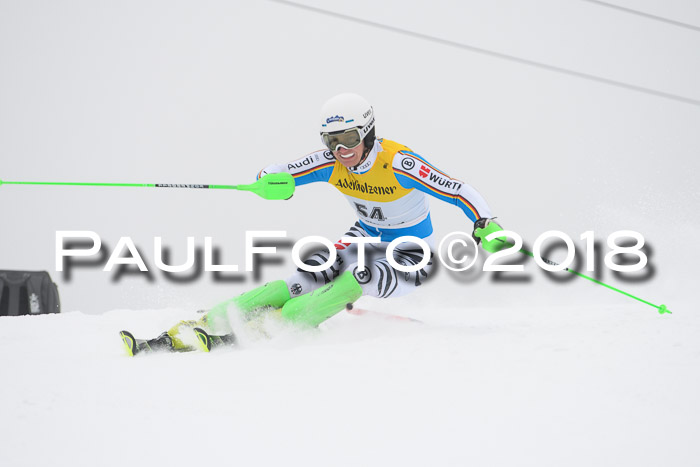 FIS Slalom Damen + Herren 23.02.2018