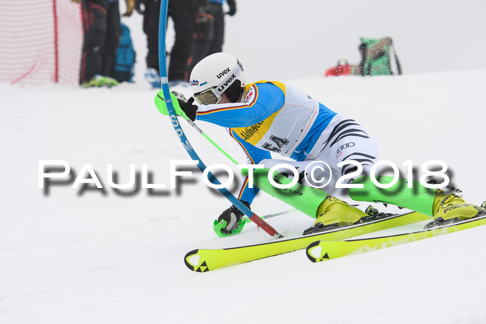 FIS Slalom Damen + Herren 23.02.2018