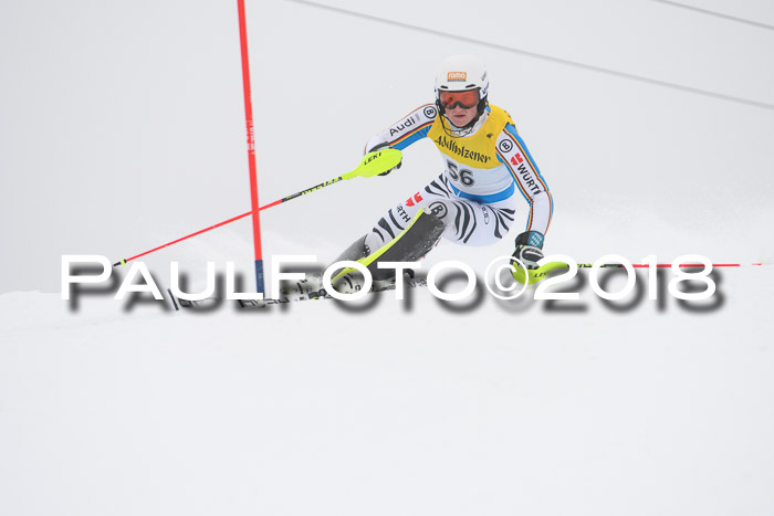 FIS Slalom Damen + Herren 23.02.2018