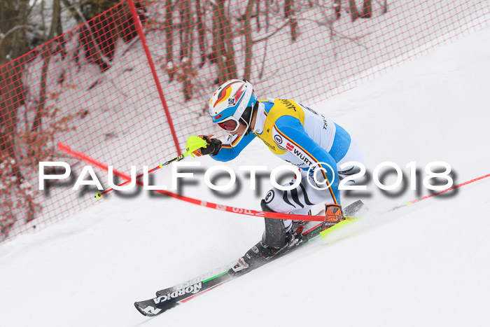 FIS Slalom Damen + Herren 23.02.2018