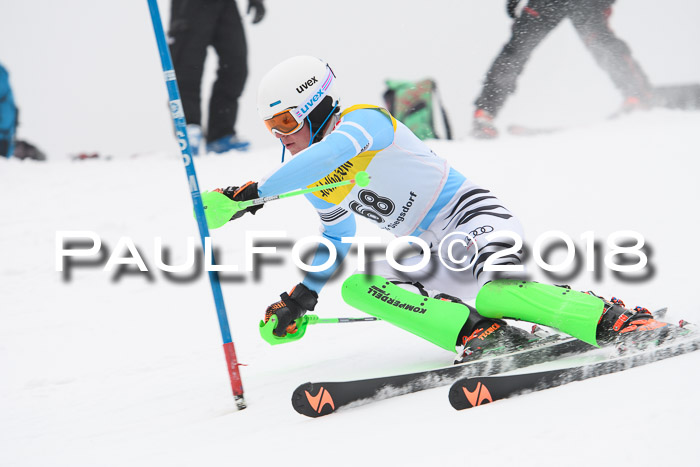 FIS Slalom Damen + Herren 23.02.2018