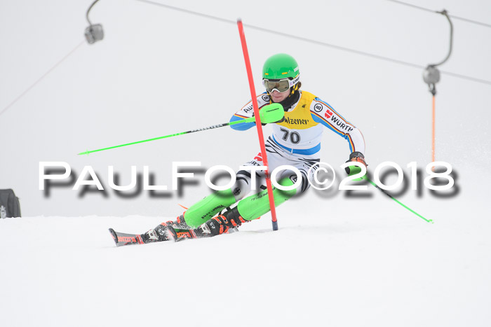 FIS Slalom Damen + Herren 23.02.2018