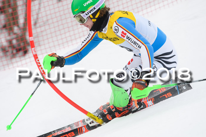 FIS Slalom Damen + Herren 23.02.2018