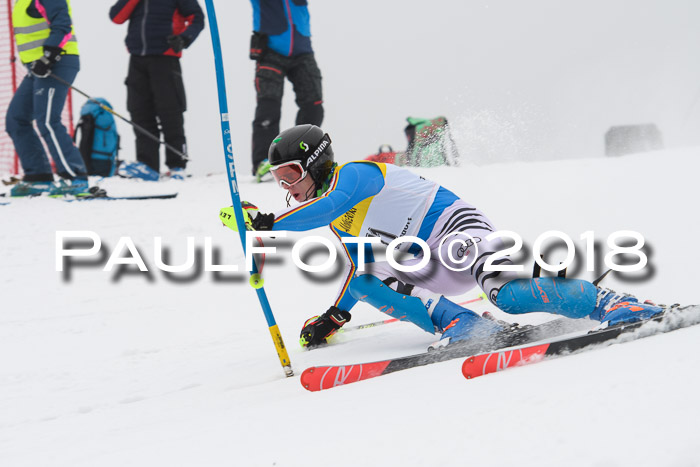 FIS Slalom Damen + Herren 23.02.2018