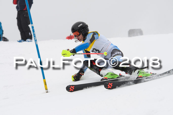 FIS Slalom Damen + Herren 23.02.2018