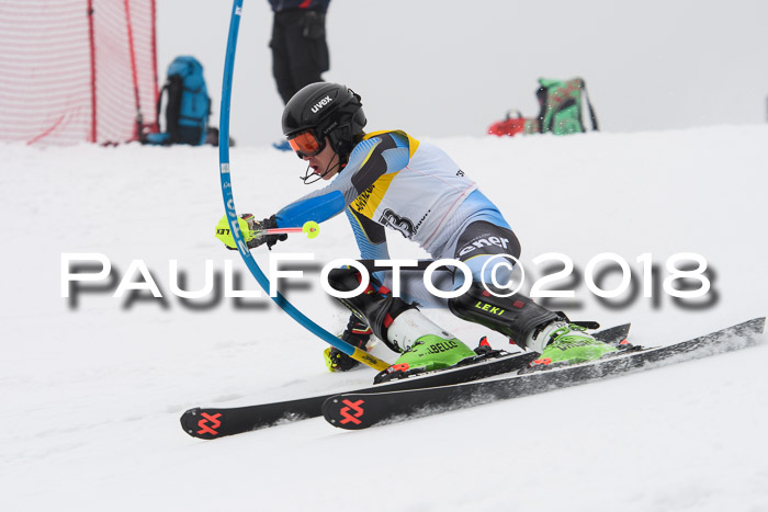 FIS Slalom Damen + Herren 23.02.2018