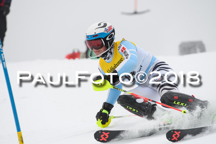 FIS Slalom Damen + Herren 23.02.2018