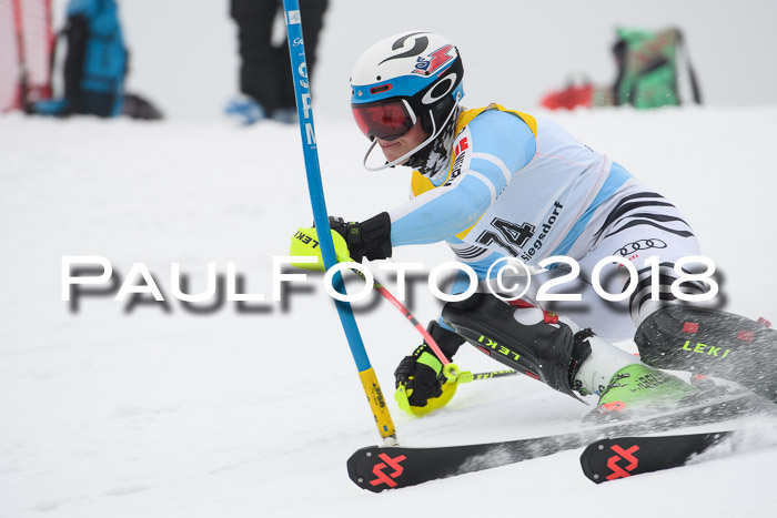 FIS Slalom Damen + Herren 23.02.2018