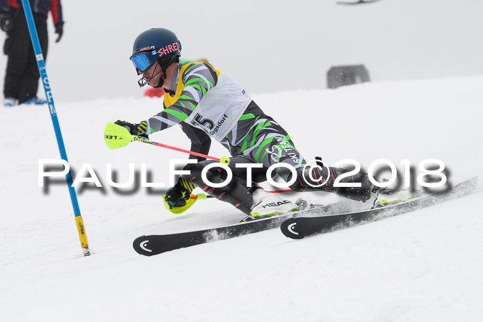 FIS Slalom Damen + Herren 23.02.2018