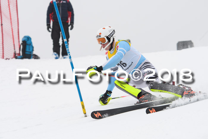 FIS Slalom Damen + Herren 23.02.2018