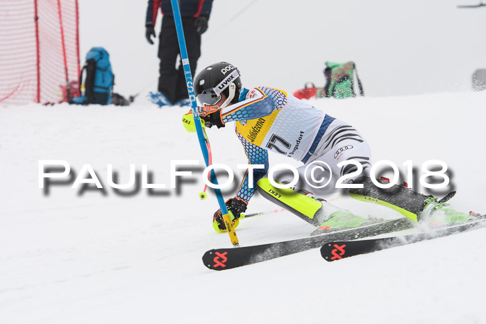 FIS Slalom Damen + Herren 23.02.2018