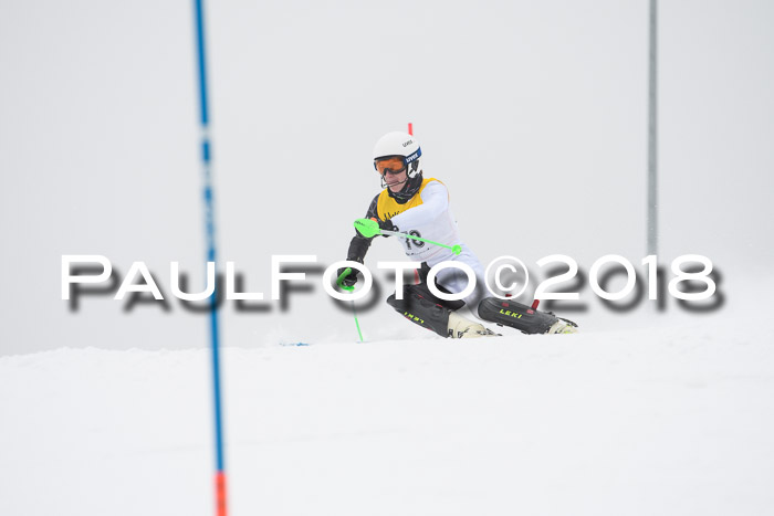 FIS Slalom Damen + Herren 23.02.2018