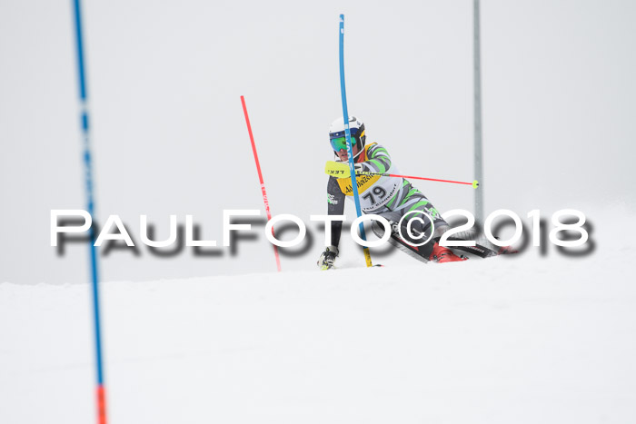 FIS Slalom Damen + Herren 23.02.2018