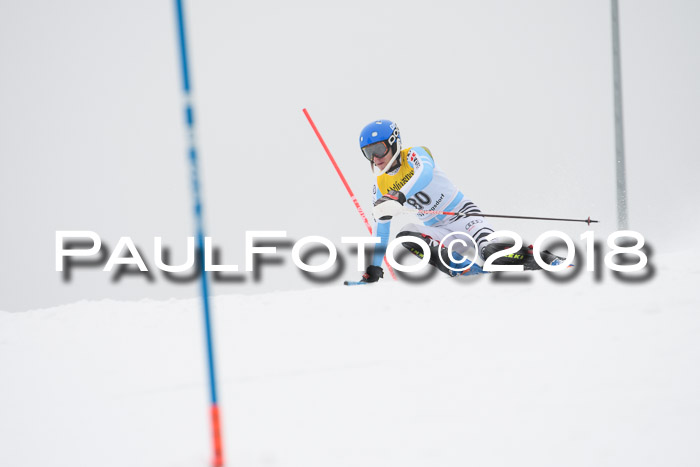 FIS Slalom Damen + Herren 23.02.2018