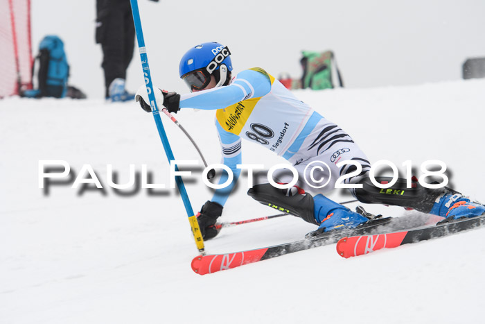 FIS Slalom Damen + Herren 23.02.2018