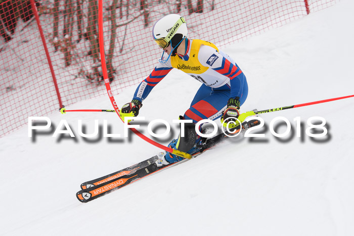 FIS Slalom Damen + Herren 23.02.2018