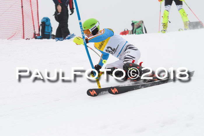 FIS Slalom Damen + Herren 23.02.2018