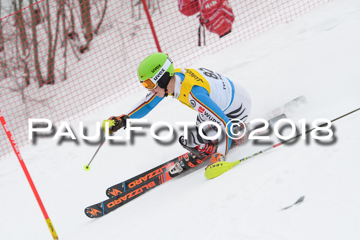 FIS Slalom Damen + Herren 23.02.2018