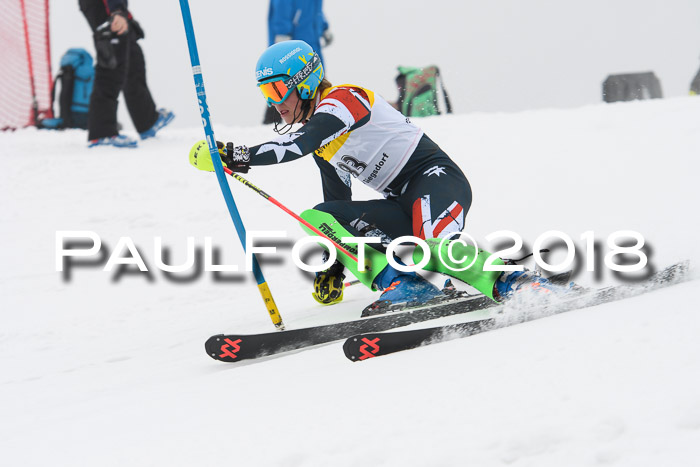 FIS Slalom Damen + Herren 23.02.2018