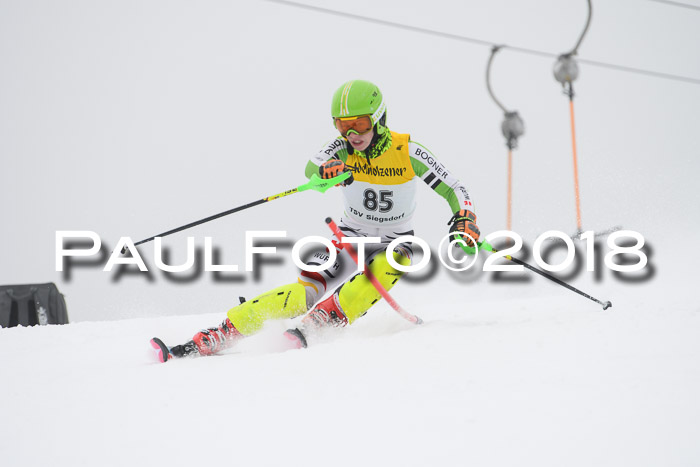 FIS Slalom Damen + Herren 23.02.2018