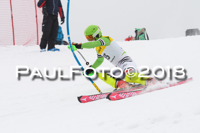 FIS Slalom Damen + Herren 23.02.2018