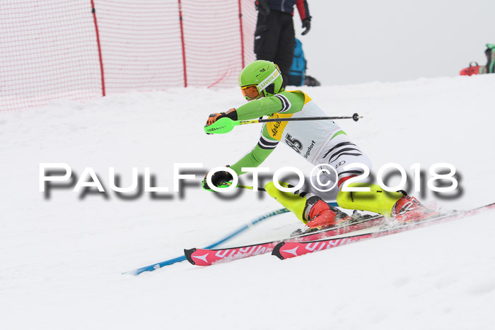 FIS Slalom Damen + Herren 23.02.2018