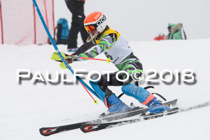 FIS Slalom Damen + Herren 23.02.2018