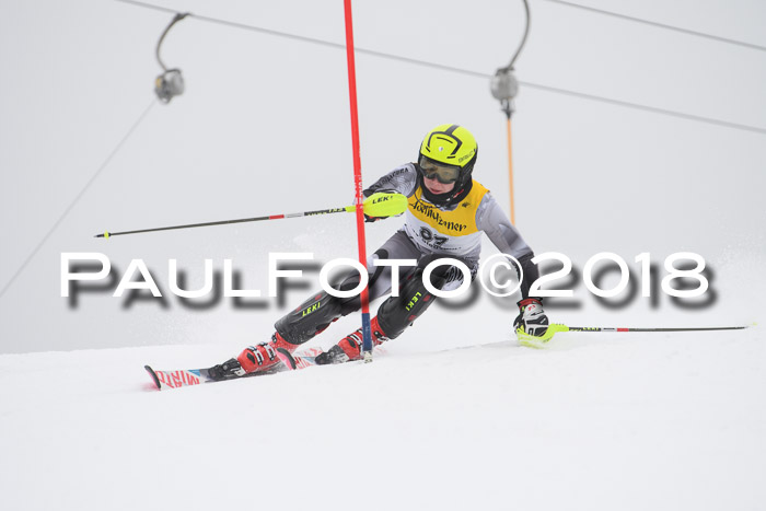 FIS Slalom Damen + Herren 23.02.2018