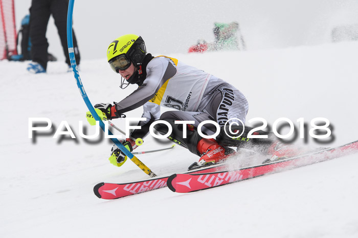 FIS Slalom Damen + Herren 23.02.2018