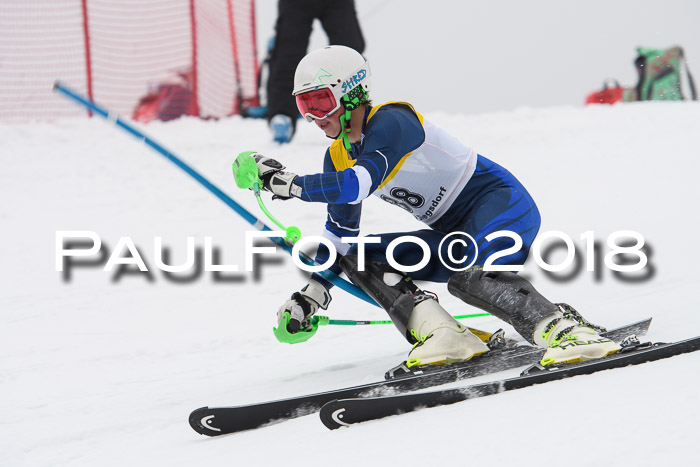 FIS Slalom Damen + Herren 23.02.2018