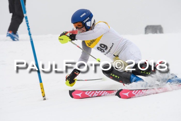 FIS Slalom Damen + Herren 23.02.2018