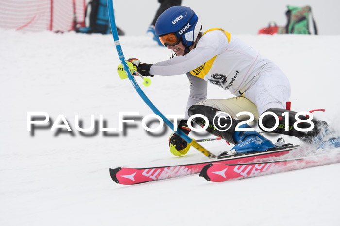 FIS Slalom Damen + Herren 23.02.2018