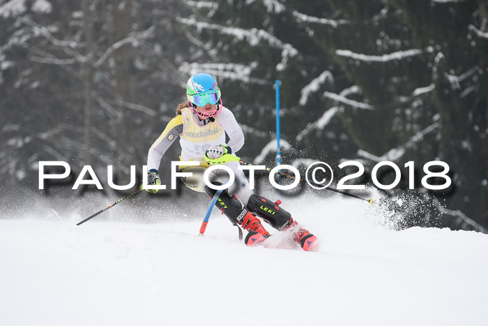 FIS Slalom Damen + Herren 23.02.2018