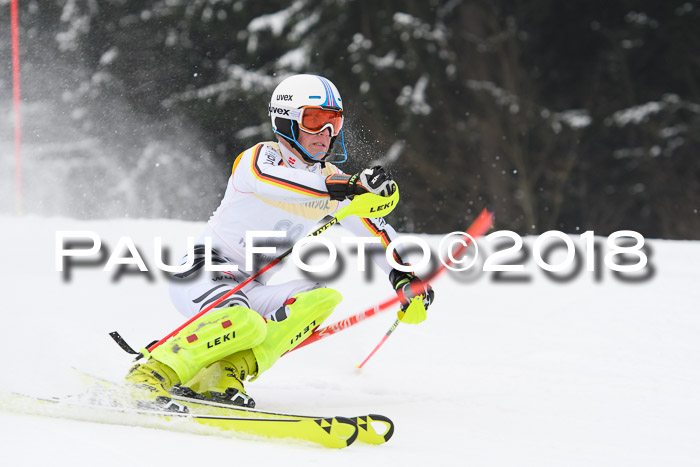 FIS Slalom Damen + Herren 23.02.2018