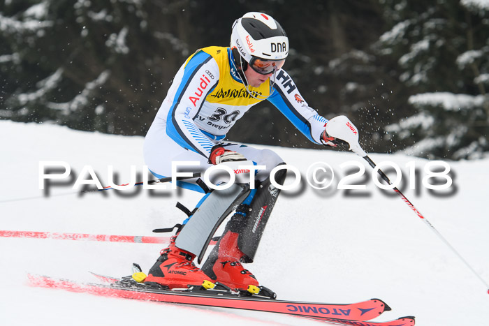 FIS Slalom Damen + Herren 23.02.2018