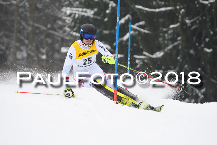 FIS Slalom Damen + Herren 23.02.2018