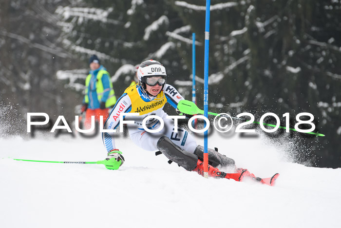 FIS Slalom Damen + Herren 23.02.2018