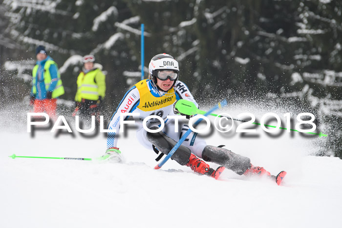 FIS Slalom Damen + Herren 23.02.2018