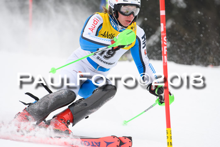 FIS Slalom Damen + Herren 23.02.2018