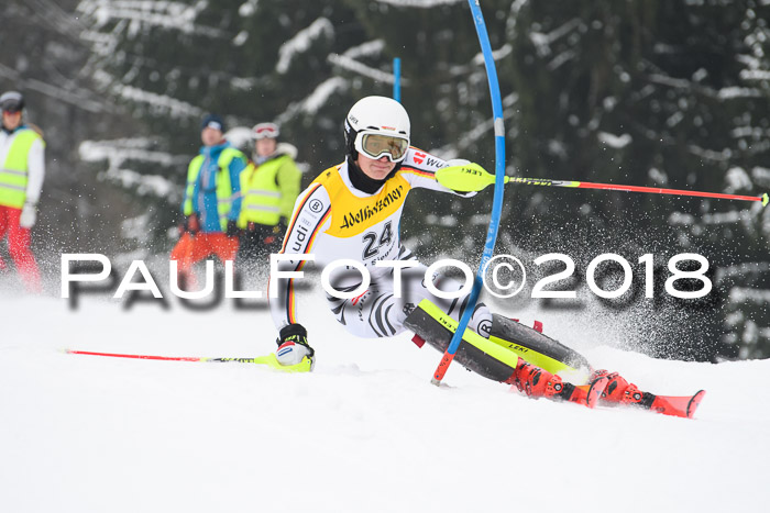 FIS Slalom Damen + Herren 23.02.2018