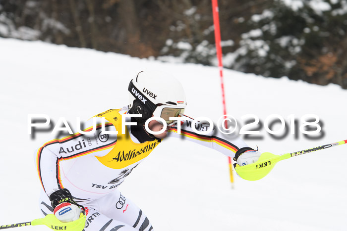 FIS Slalom Damen + Herren 23.02.2018