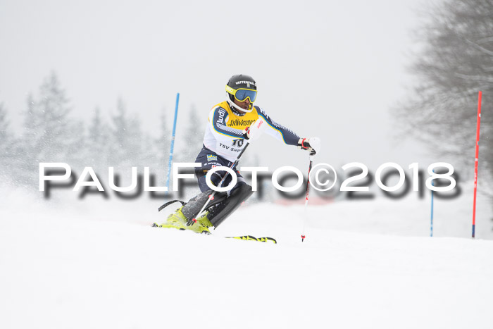 FIS Slalom Damen + Herren 23.02.2018