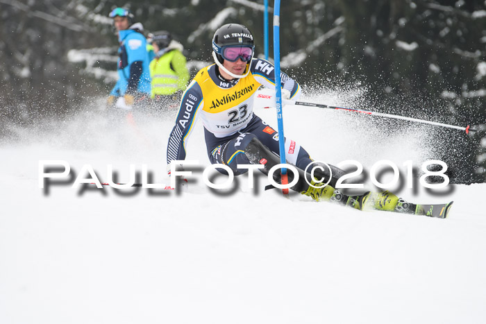 FIS Slalom Damen + Herren 23.02.2018