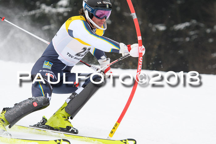 FIS Slalom Damen + Herren 23.02.2018