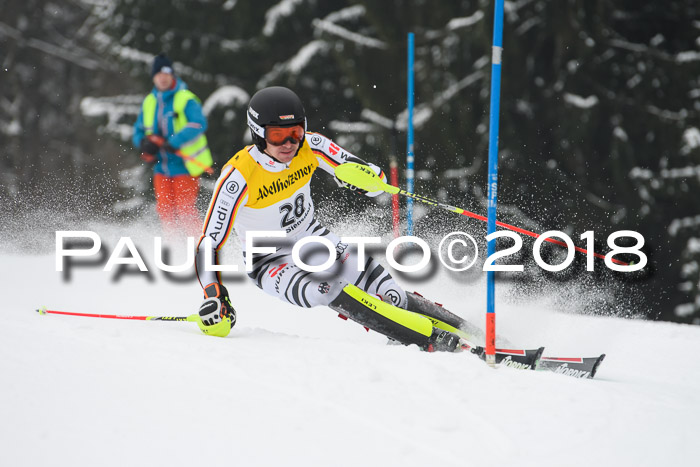 FIS Slalom Damen + Herren 23.02.2018