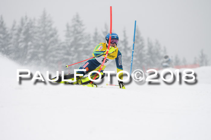 FIS Slalom Damen + Herren 23.02.2018