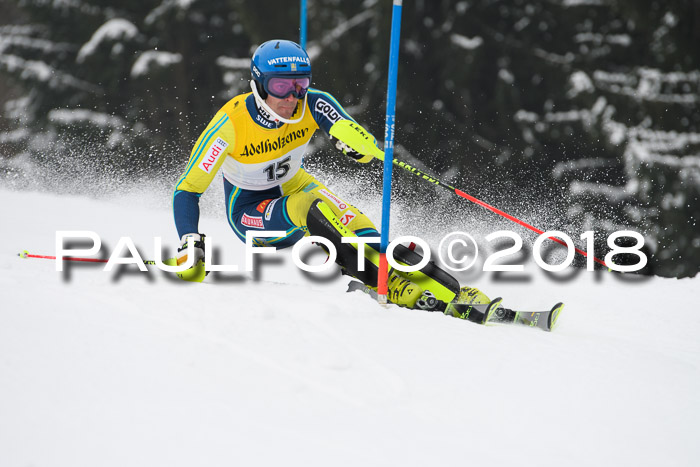 FIS Slalom Damen + Herren 23.02.2018