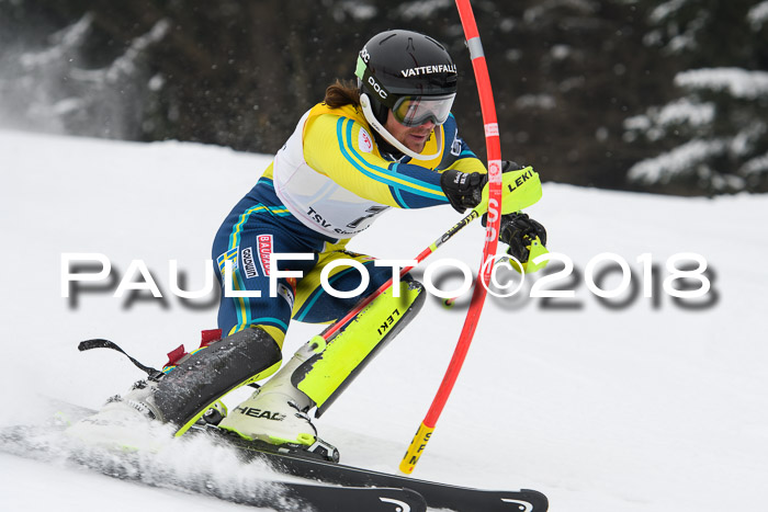 FIS Slalom Damen + Herren 23.02.2018