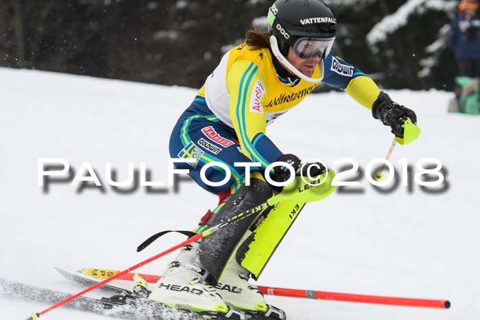 FIS Slalom Damen + Herren 23.02.2018